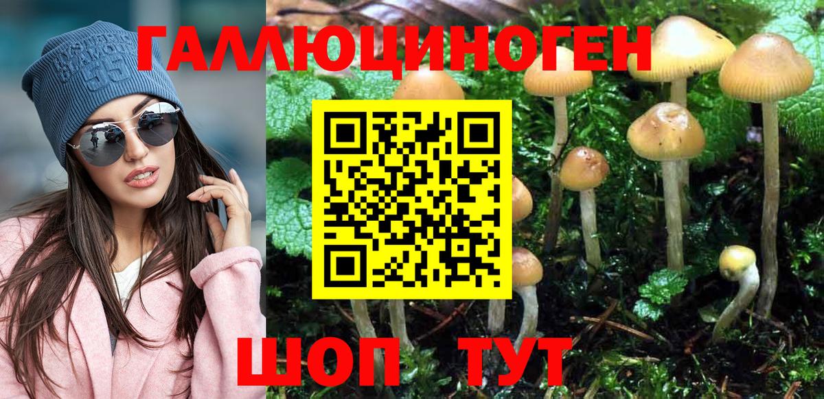 Псилоцибиновые грибы Cubensis Черняховск